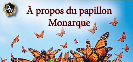 Cliquez sur l'image ci-haut pour en savoir plus